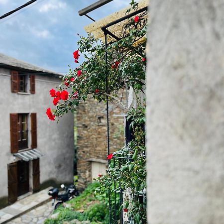 Tres Jolie Maison Aux Portes Du Cap Corse Sisco Ngoại thất bức ảnh