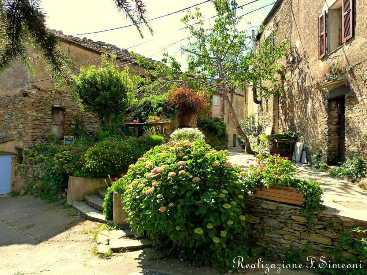 Tres Jolie Maison Aux Portes Du Cap Corse Sisco Ngoại thất bức ảnh
