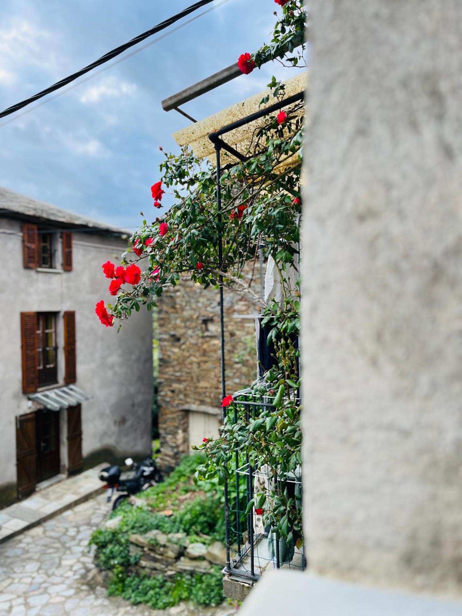 Tres Jolie Maison Aux Portes Du Cap Corse Sisco Ngoại thất bức ảnh